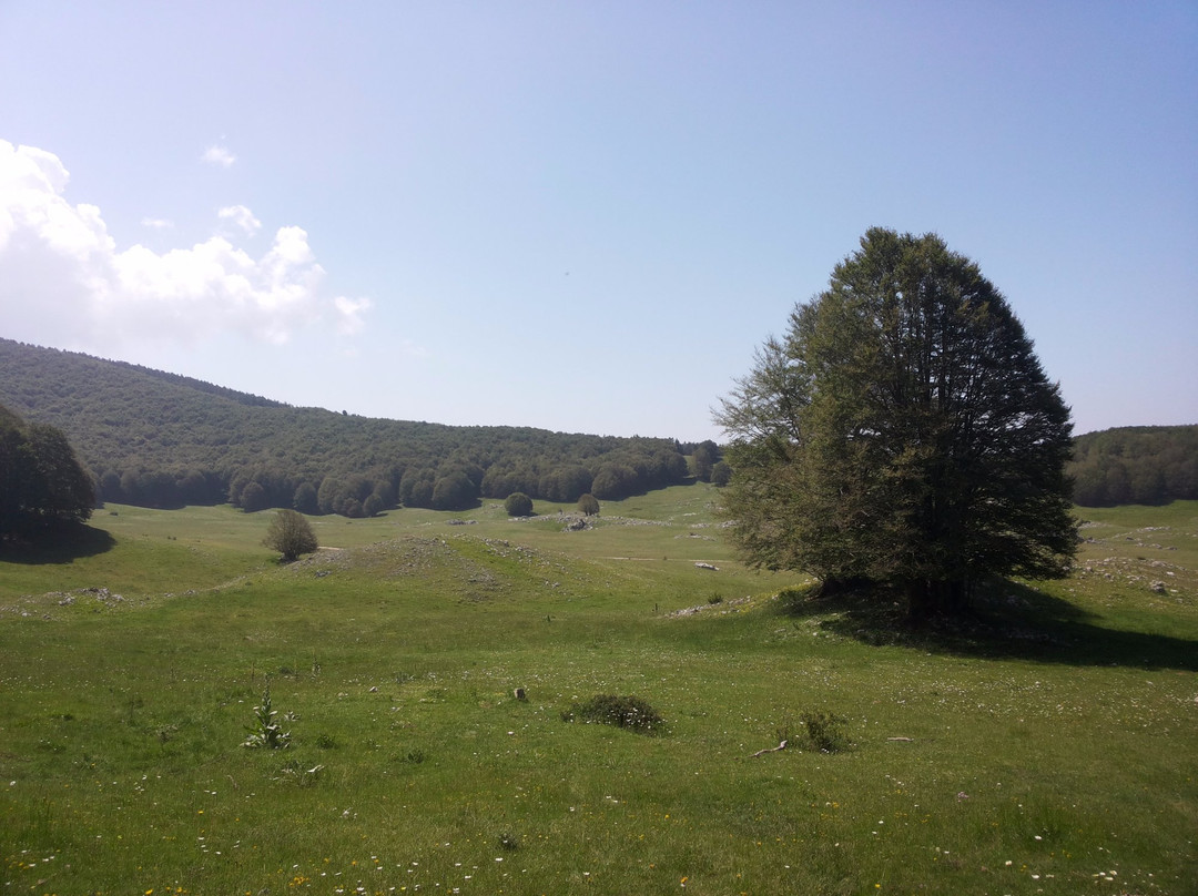 Campaegli旅游攻略图片