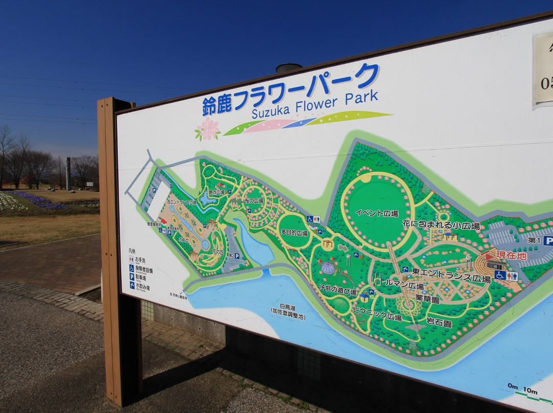 Suzuka Flower Park-铃鹿市必去景点