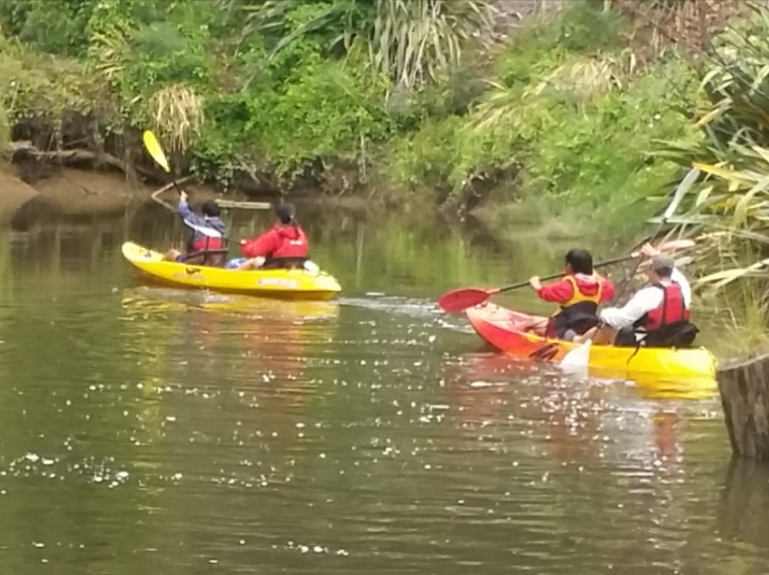 Hibiscus Kayak Hire-奥克兰中心地区必去景点