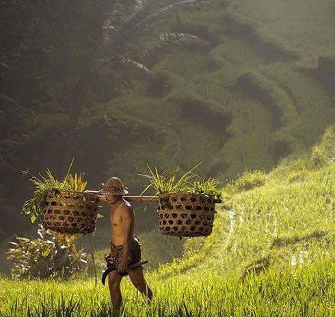 Bali Best Travels-佩艳艮必去景点