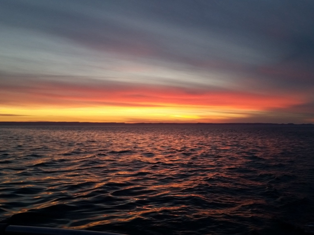 Sea of Cortez Adventures-拉巴斯必去景点