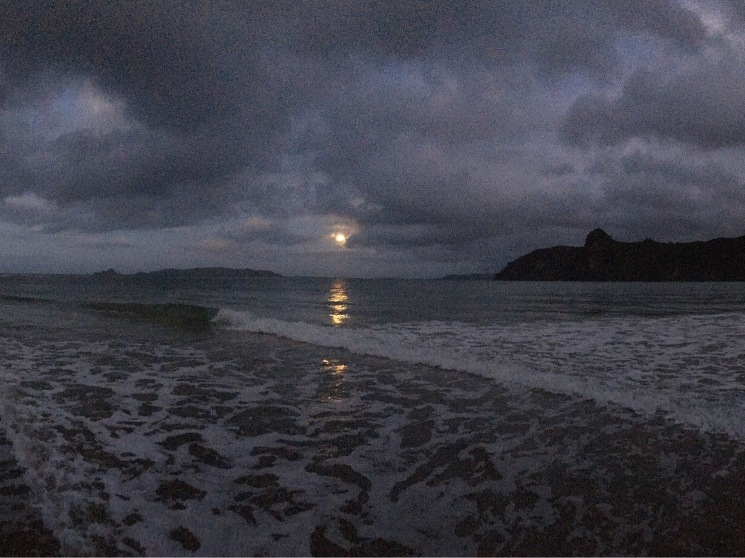 Taupo Bay Beach景点图片