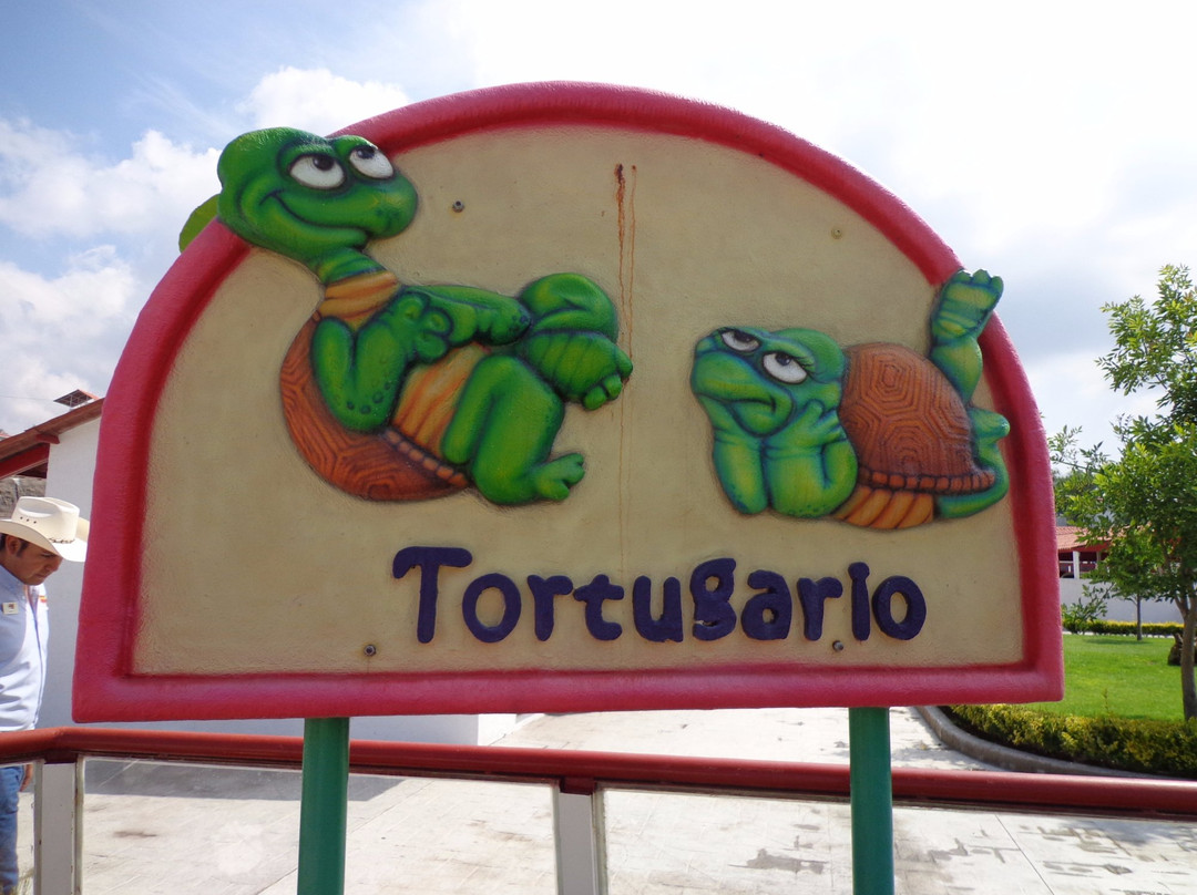 Mundo Granjero & Zoo-Contepec必去景点