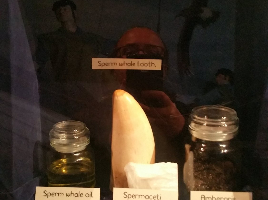 Te Hikoi Museum and Information Centre景点图片