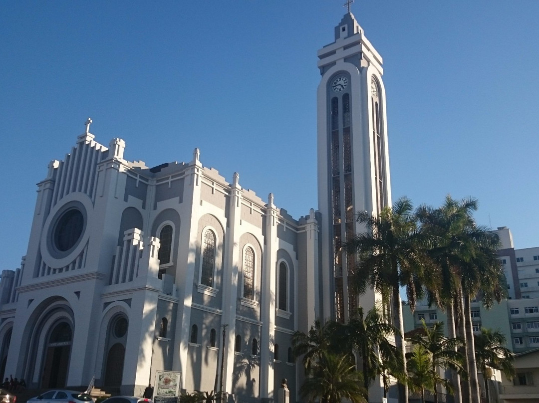 Catedral Santa Teresinha do Menino Jesus景点图片