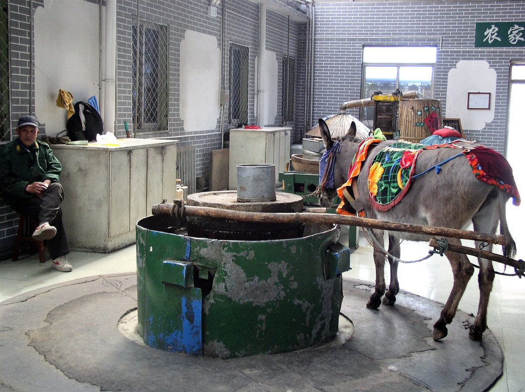 集发农业观光园-秦皇岛市必去景点