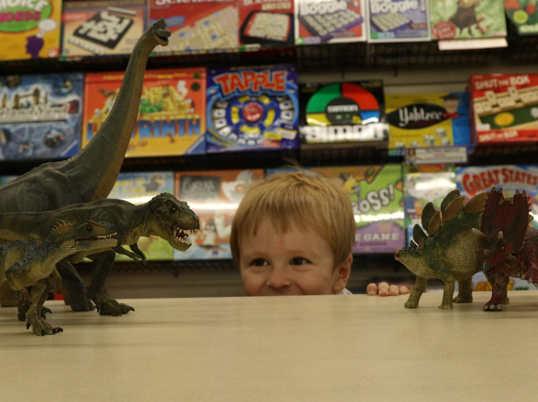 A2Z Science and Learning Toy Store-北安普敦必去景点