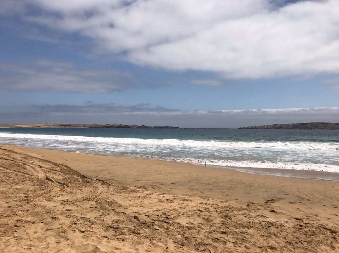 Playa Bahia Cisne-Caldera必去景点