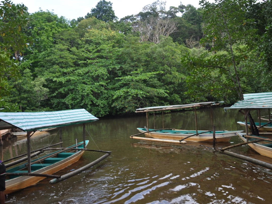 Mangrove River景点图片