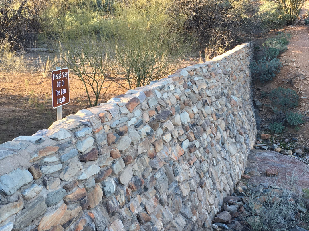 Fountain Hills Botanical Garden-Fountain Hills必去景点