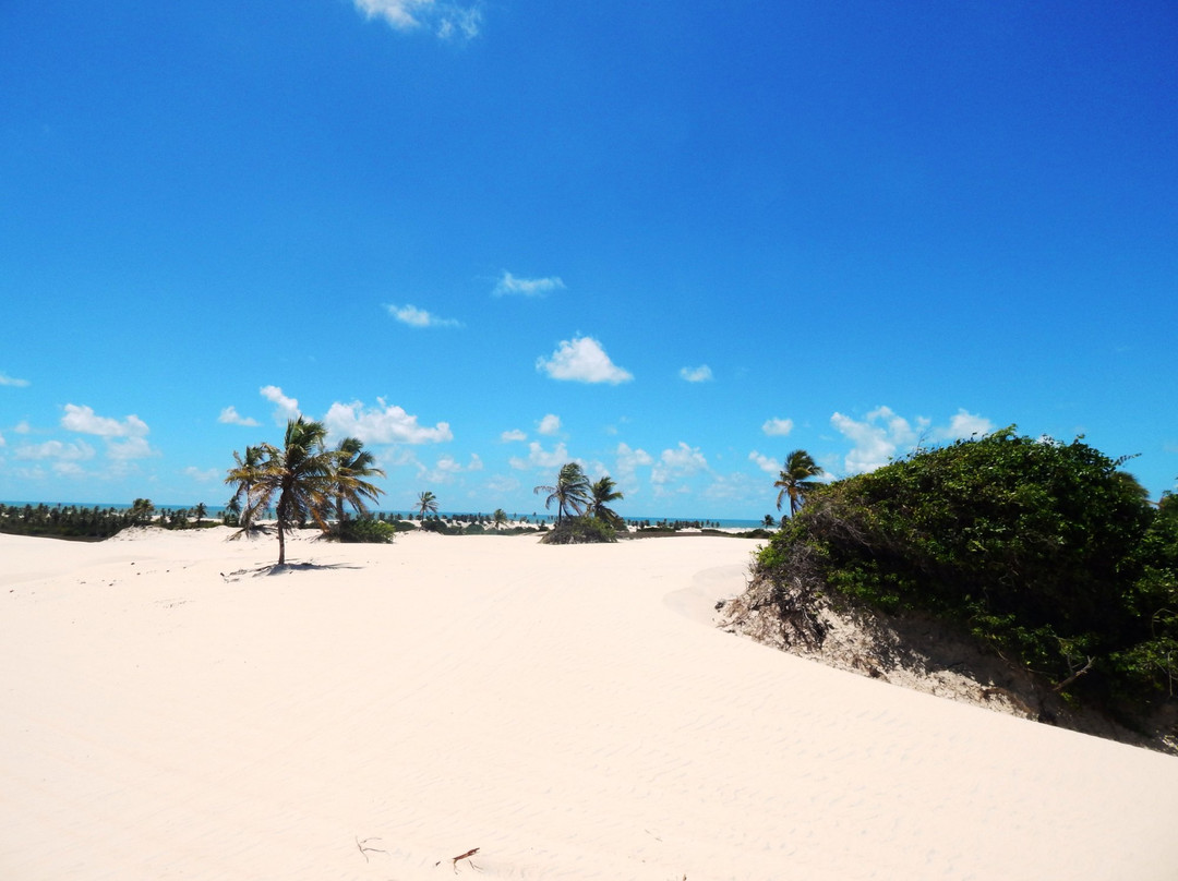 Praia de Mangue Seco-Mangue Seco必去景点