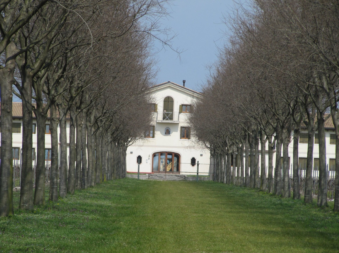Azienda Agricola Quinta della Luna di Vettor Marco景点图片
