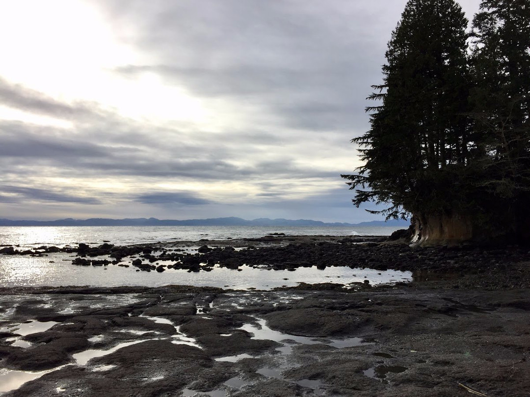 Port Renfrew旅游攻略图片