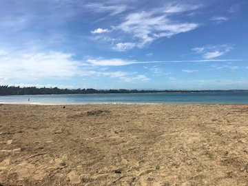 Balneario Punta Salinas-Toa Baja必去景点