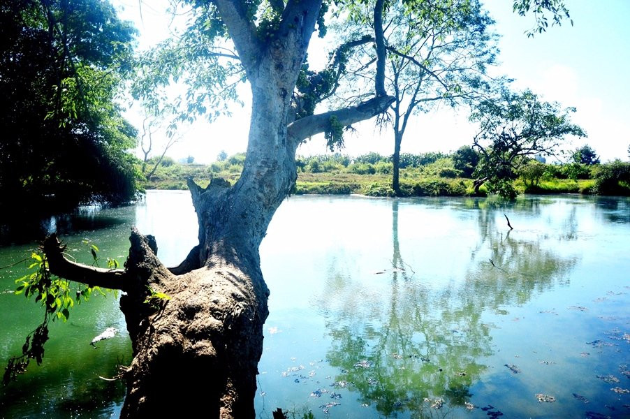 Lashio旅游景点-Lashio Hot Springs
