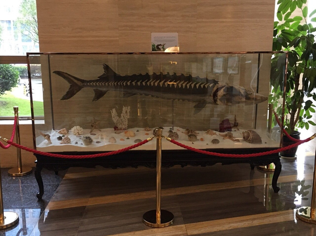 象山海洋酒店主图
