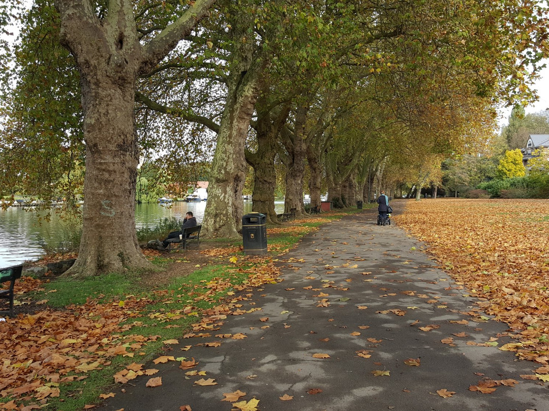 Canbury Gardens景点图片