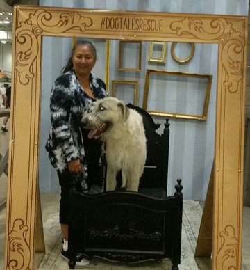 The International Centre-米西索加必去景点