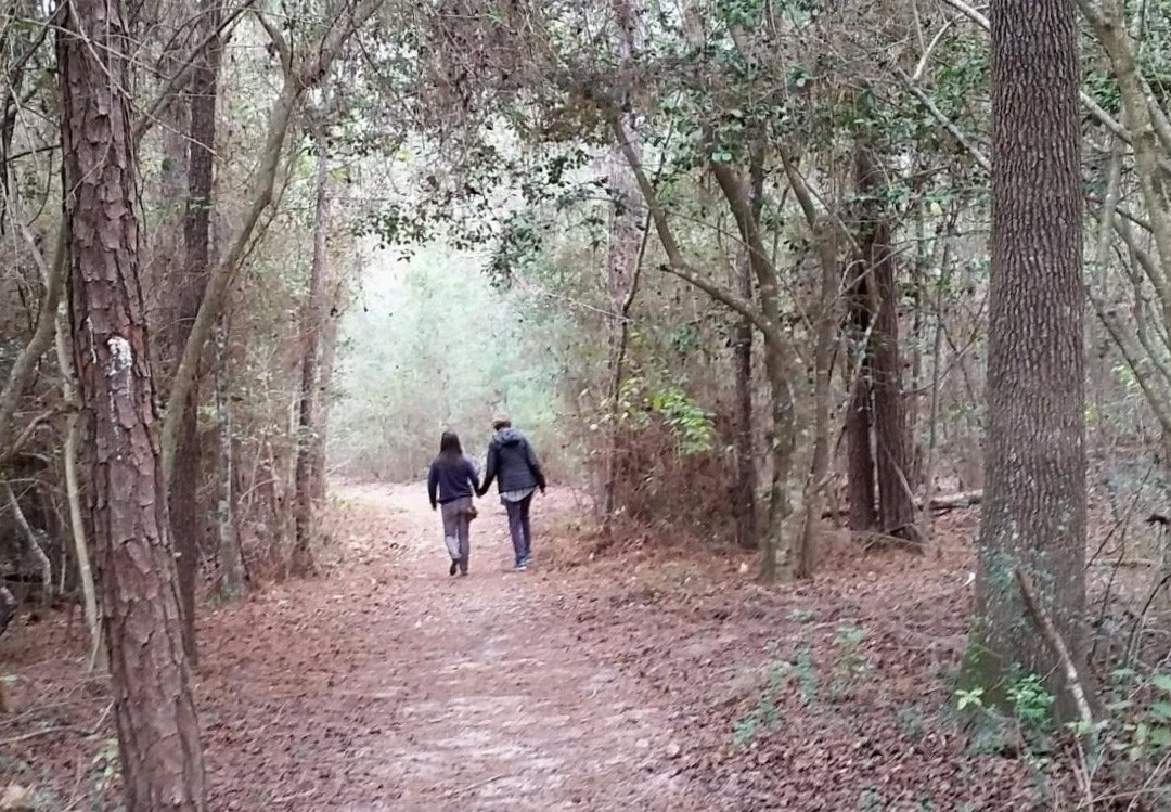 George Mitchell Nature Preserve-伍德兰兹必去景点