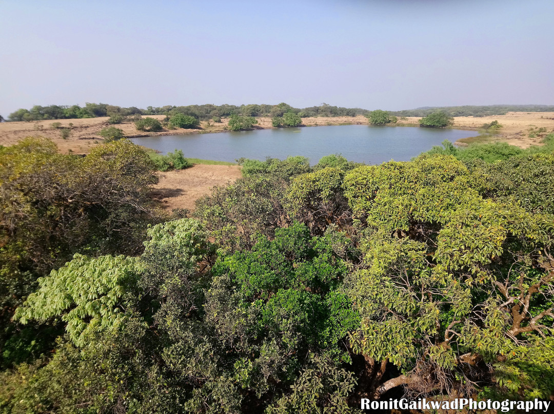 Radhanagari Wildlife Sanctuary景点图片