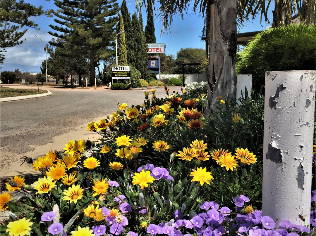 Ceduna Motor Inn主图