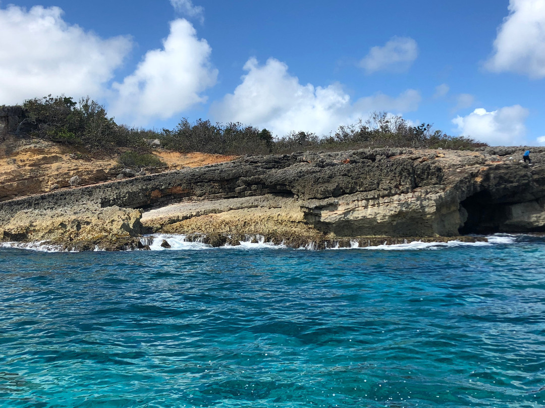 Junior's Glass-Bottom Boat-West End Village必去景点