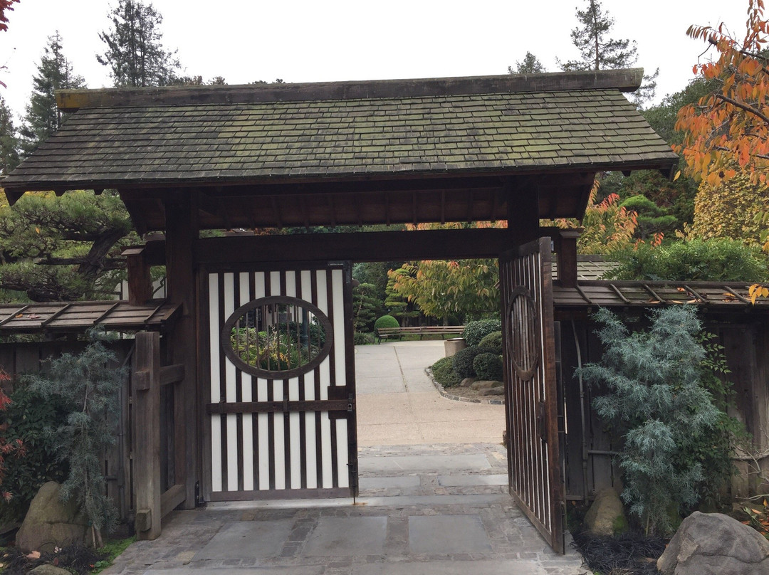 The San Mateo Japanese Garden-圣马特奥必去景点