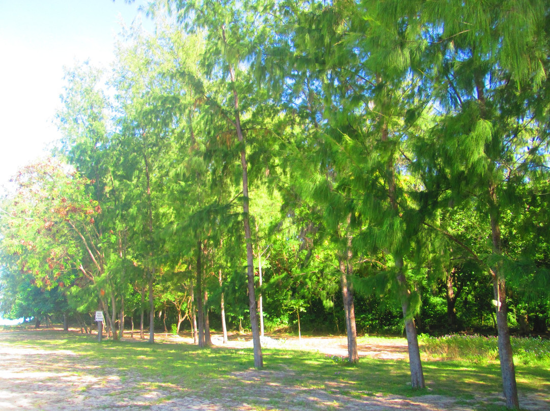 Apuao Grande Island-Daet必去景点