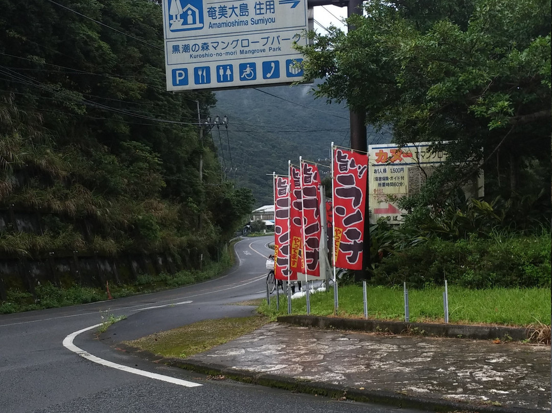 Roadside Station Amami Oshima Sumiyo-奄美市必去景点