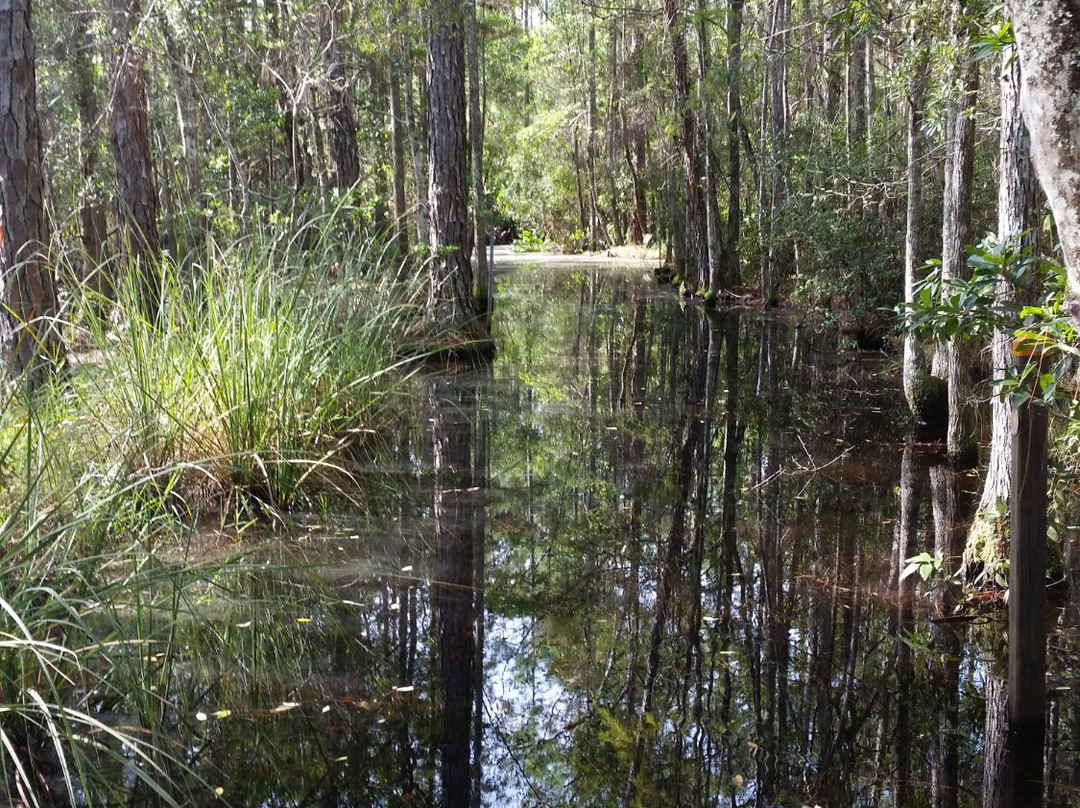 Brooker Creek Preserve-塔彭斯普林斯必去景点