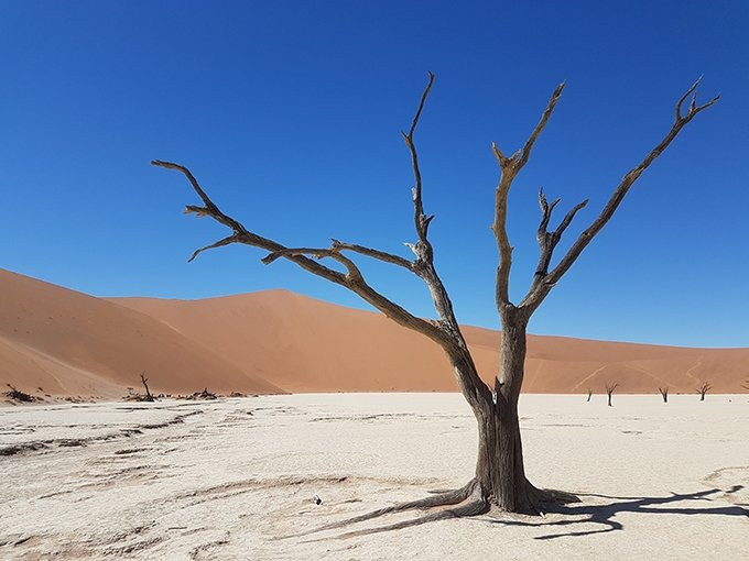 Discover Namibia Private Day Tours and Safaris-斯瓦科普蒙德必去景点