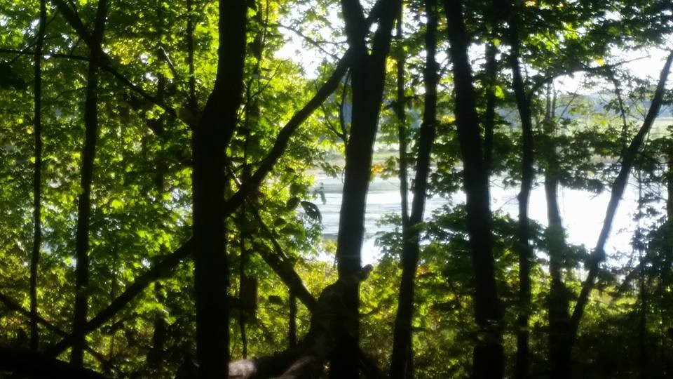 Lilly Nature Center-西拉斐特必去景点