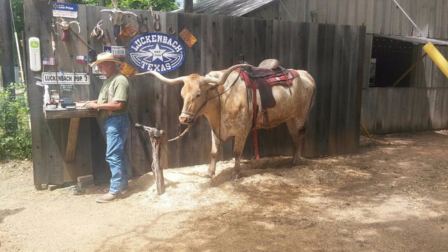 Yellow Rose Of Texas Wine Tours-弗雷德里克斯堡必去景点