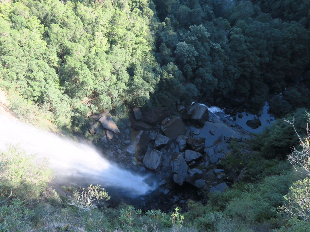 Twin Falls Lookout-Fitzroy Falls必去景点