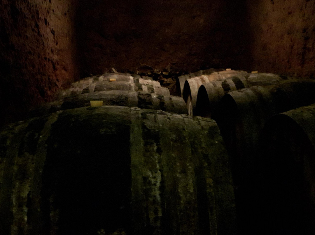 Maison Laudacius - Cave De Montlouis-Dur-Loire景点图片