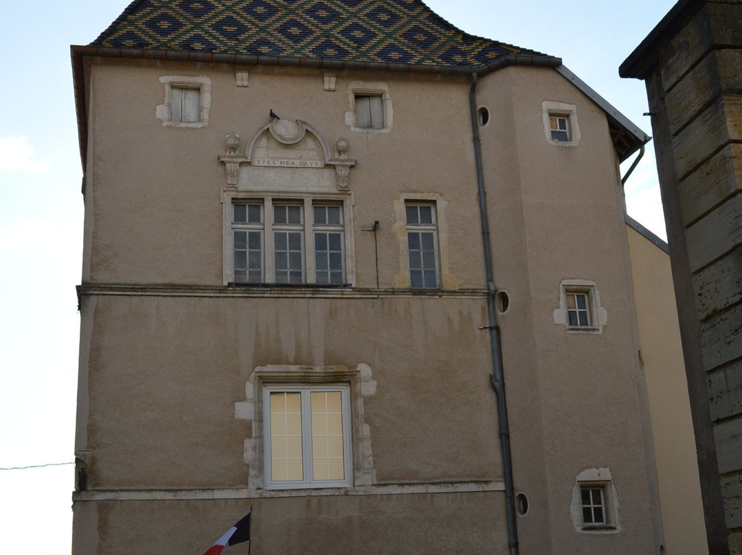 Hôtel Gauthiot d'Ancier景点图片