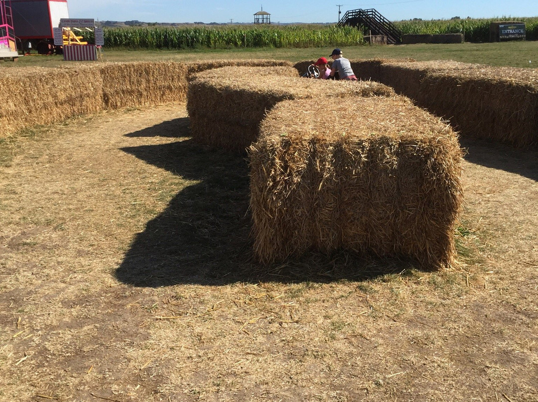 Mini Moos Maize Maze and Funyard景点图片