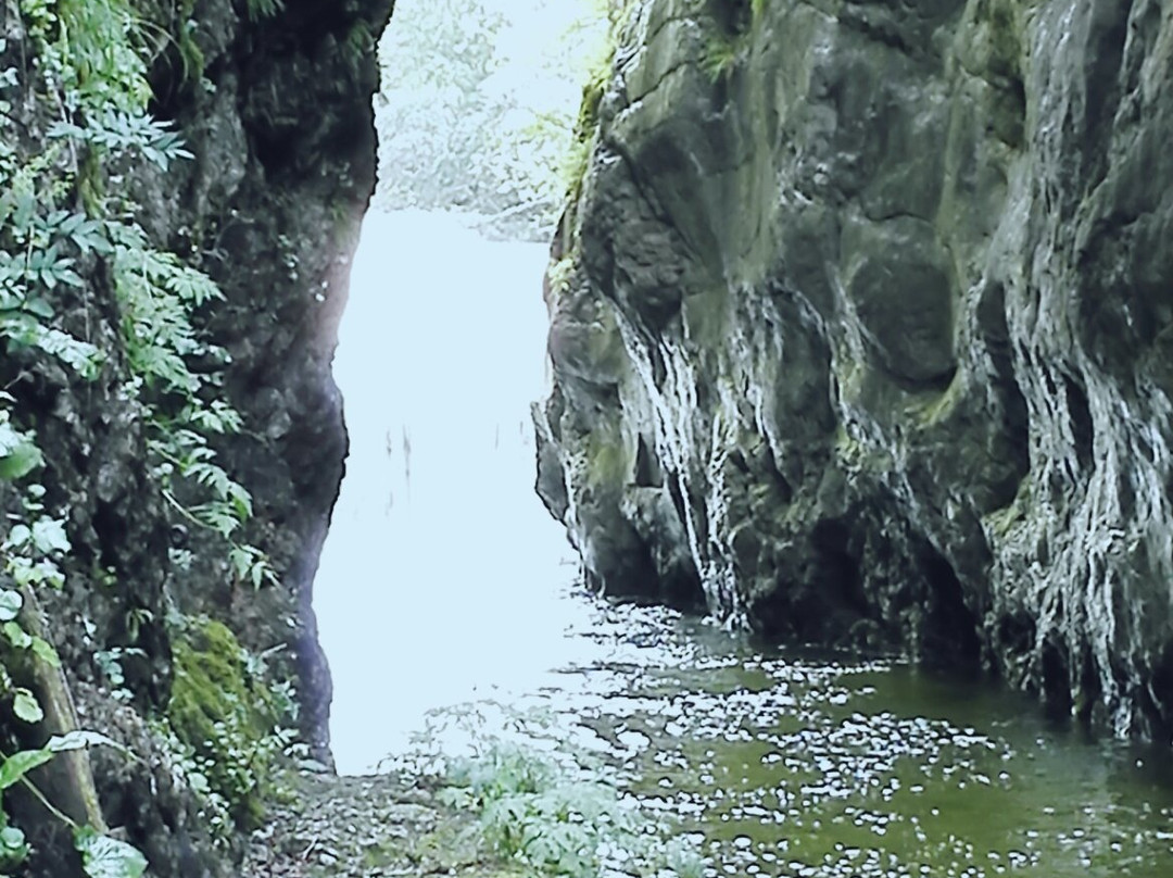 Nationalpark Kalkalpen-Reichraming必去景点