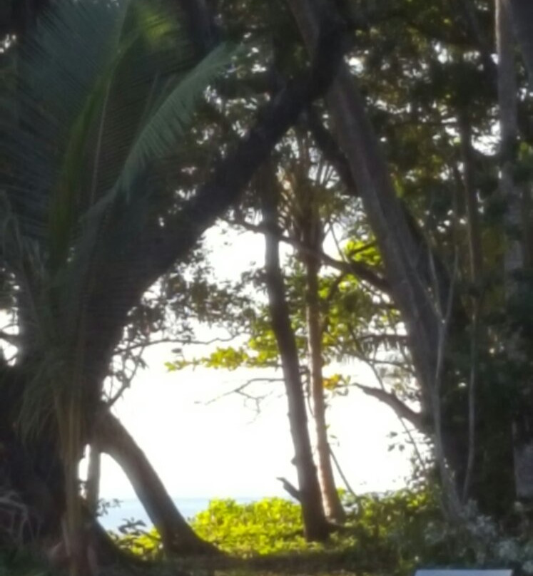 Wonga Beach-Wonga Beach必去景点