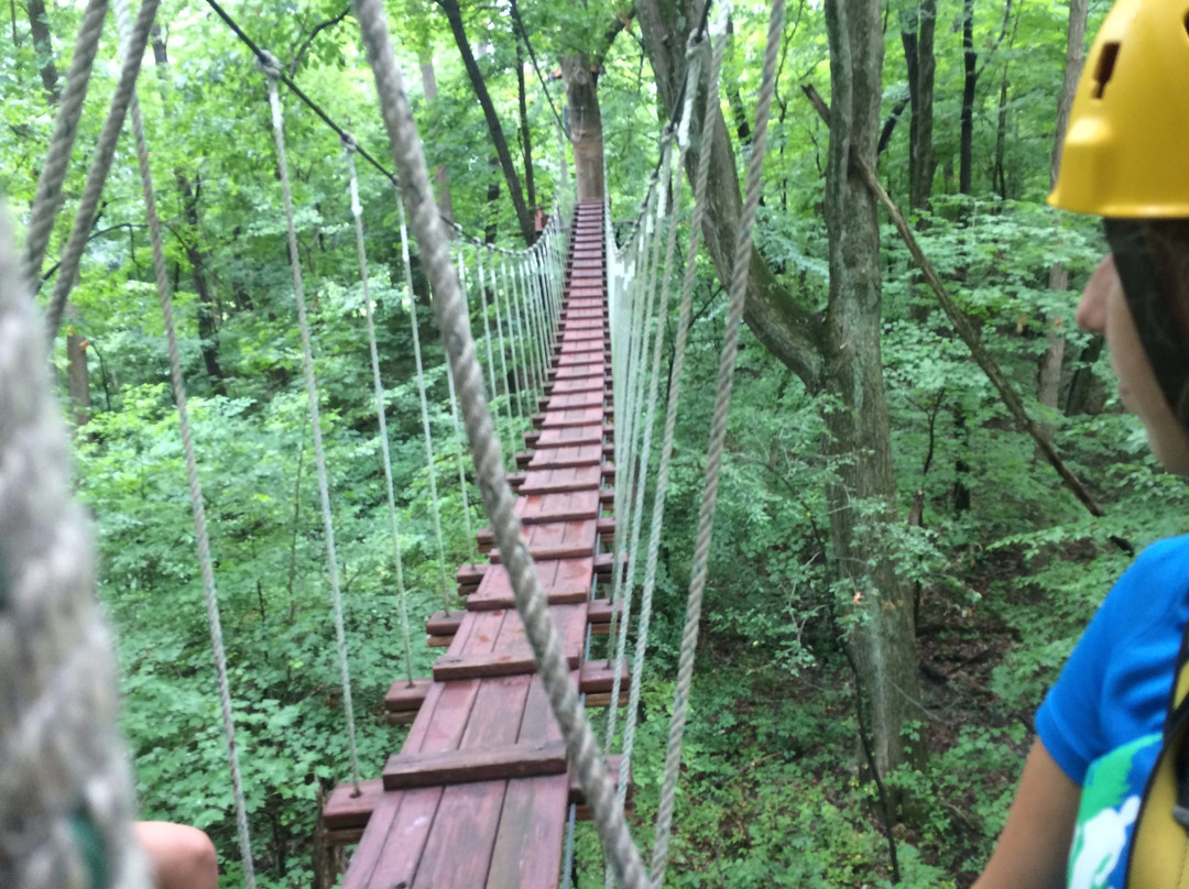 Ozone Zipline Adventures-Oregonia必去景点