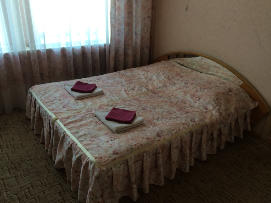 堪察加彼得巴甫洛夫斯克酒店住宿-Hotel Complex Postoyaly Dvor