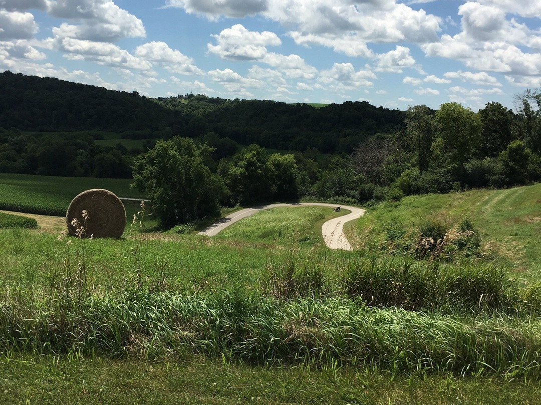 Trout Run Trail景点图片