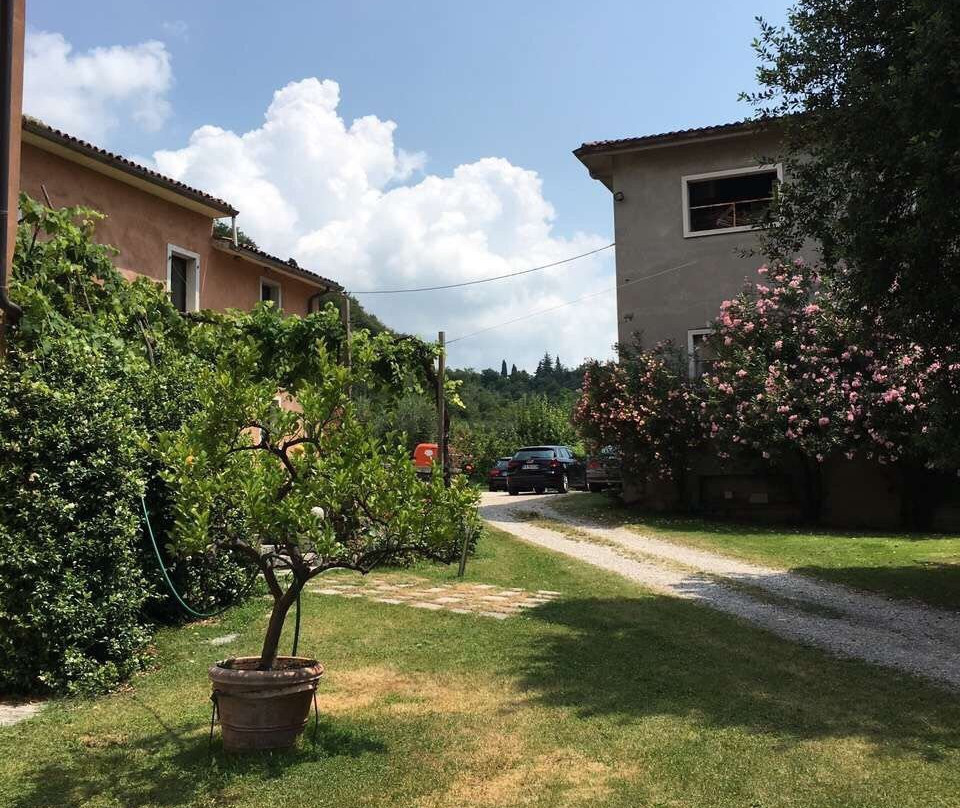 Azienda Agricola Meroni景点图片