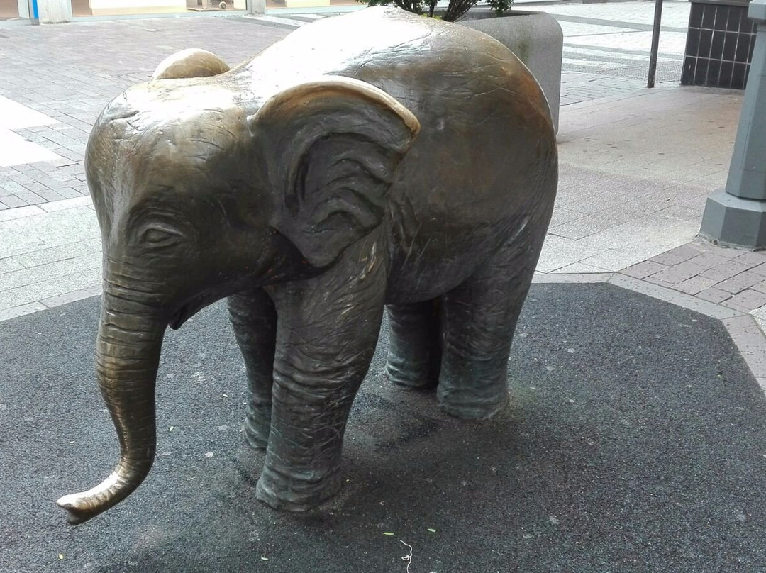 Bronzeelefant "Tuffi"景点图片