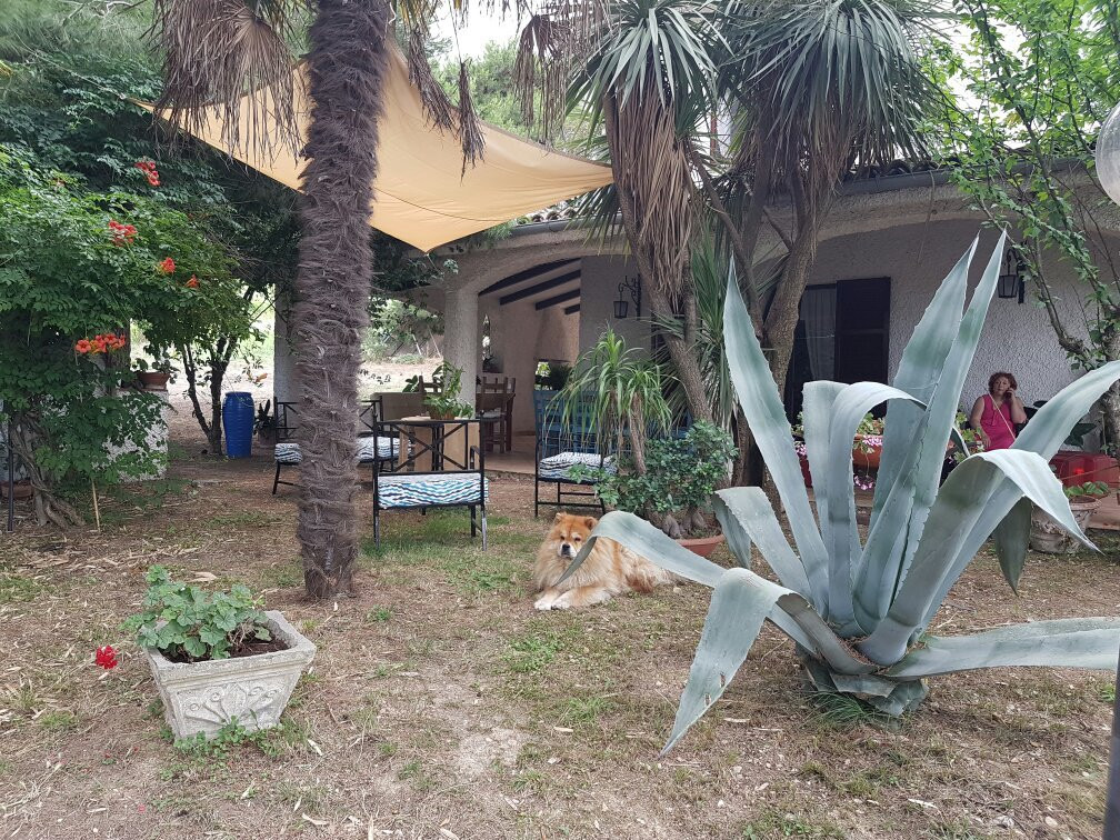 Lido di Casalbordino旅游攻略图片