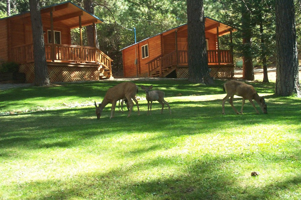 Harmony Ridge Resort