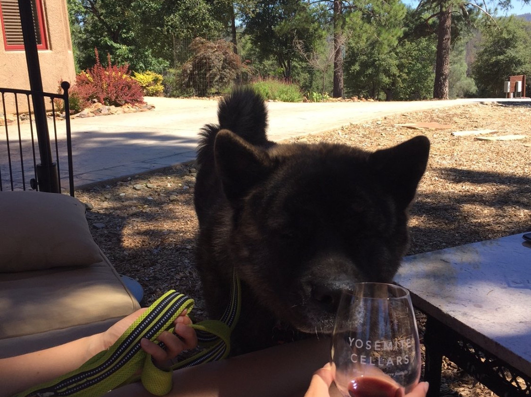 Yosemite Cellars-格罗夫兰必去景点