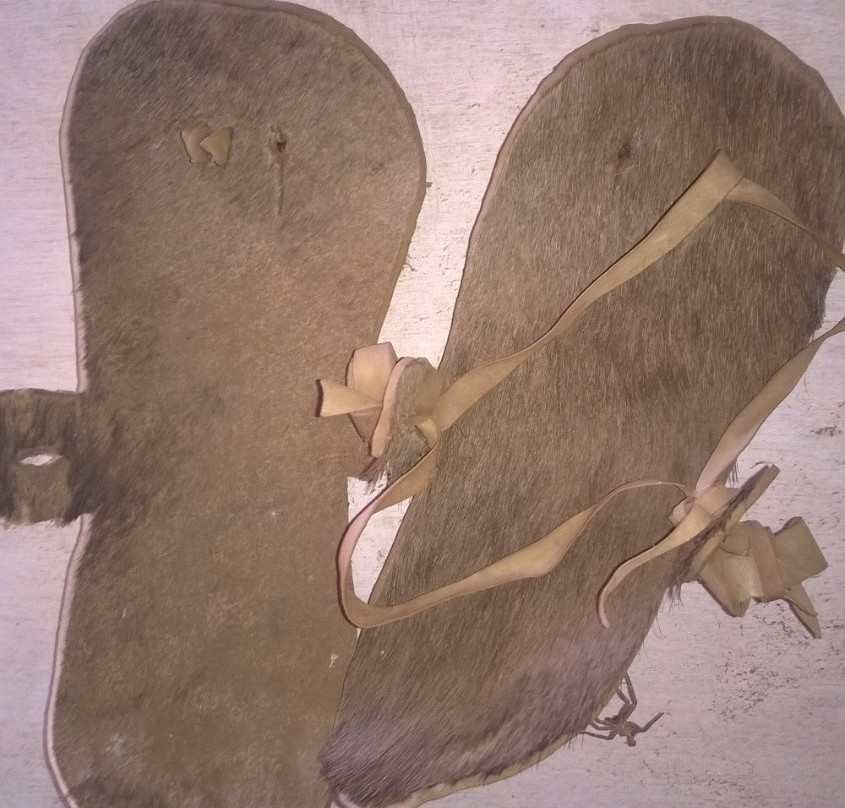 Sukuma Museum-姆万扎必去景点