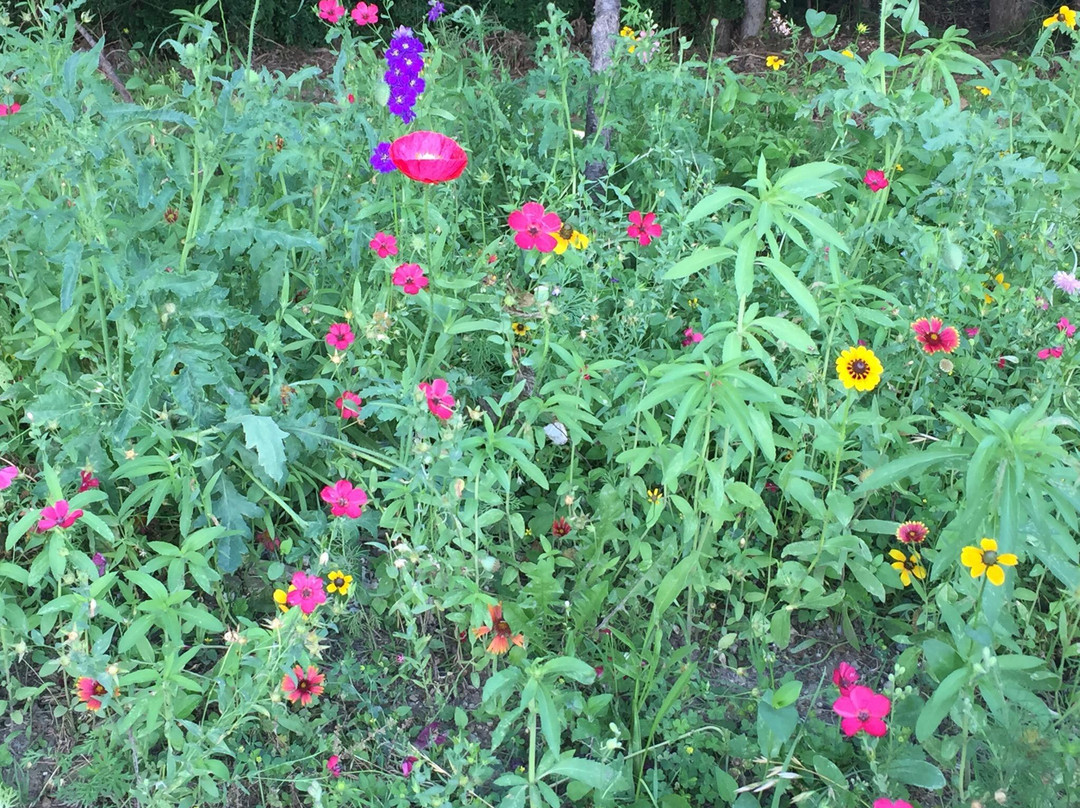 自行车行-达拉斯必去景点