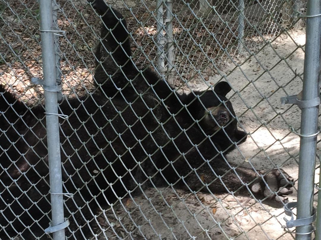 Endangered Animal Rescue Sanctuary-Citra必去景点